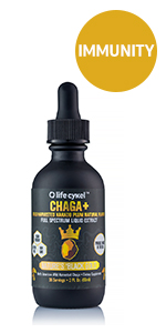 chaga