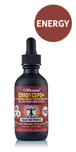 cordyceps