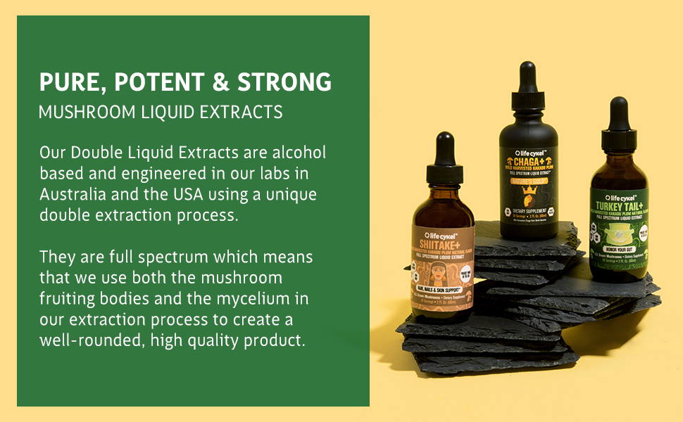 liquid-mushroom-extracts pure potent strong