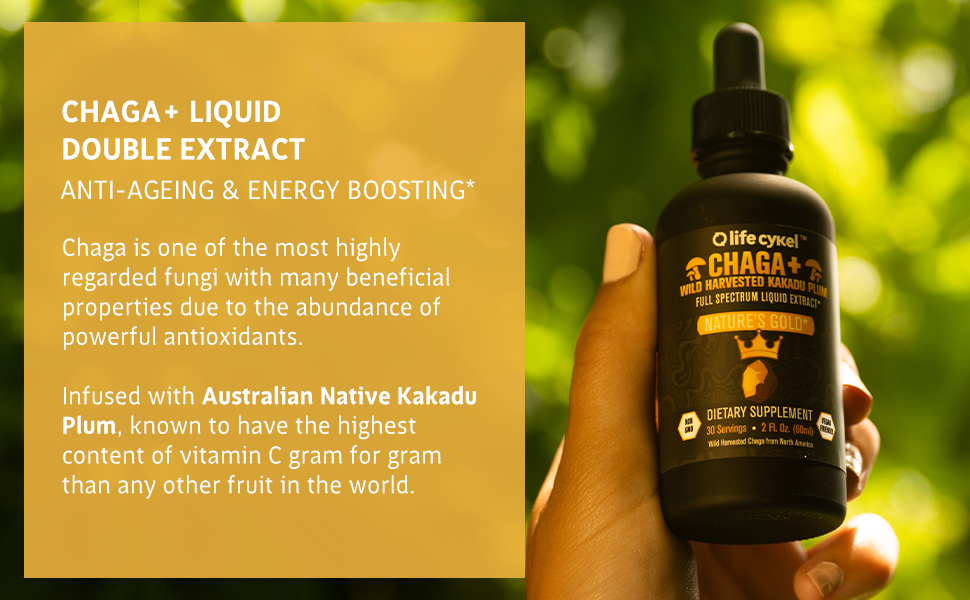 chaga-mushroom-liquid-extract-pure-potent-strong