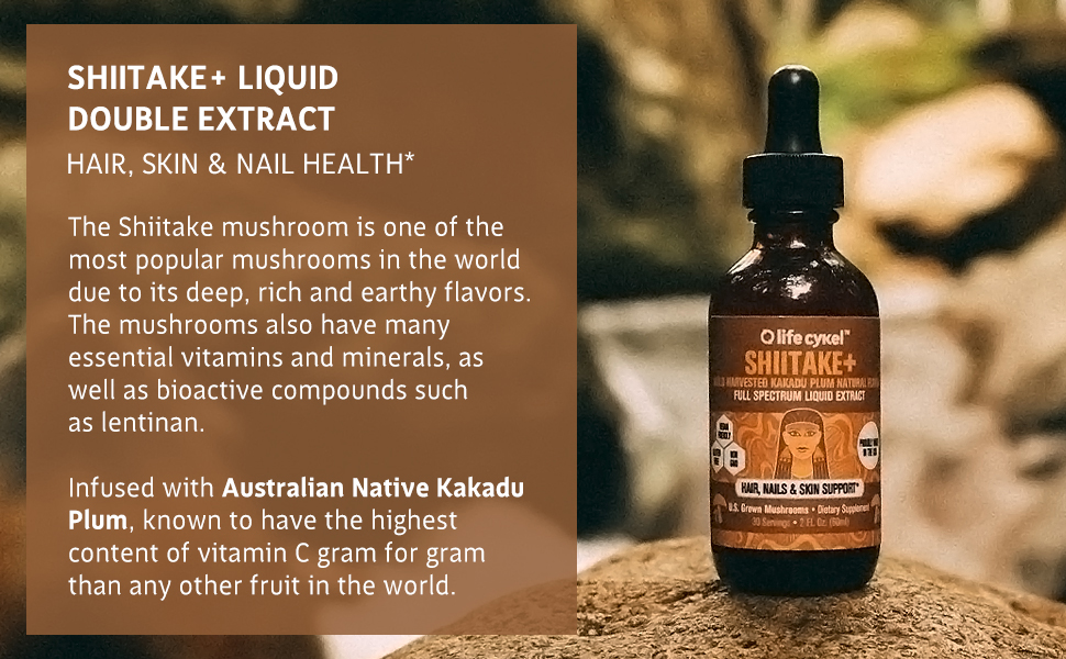 shiitake-mushroom-liquid-extract-pure-potent-strong