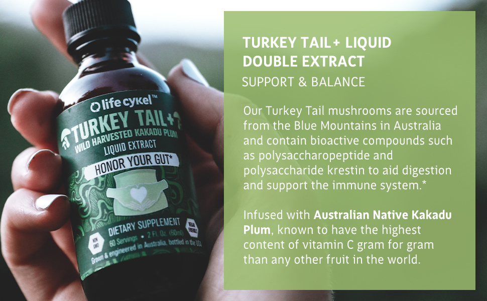 turkey-tail-mushroom-liquid-extract-pure-potent-strong