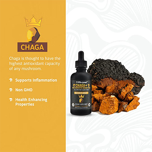 chaga-mushroom-liquid-extract-2
