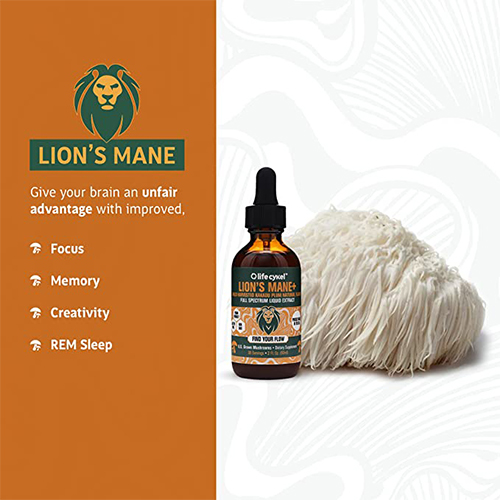 lion-mane-mushroom-liquid-extract-2