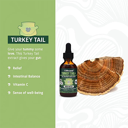 turkey-tail-mushroom-liquid-extract-2