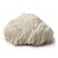 lions-mane-mushroom-powder